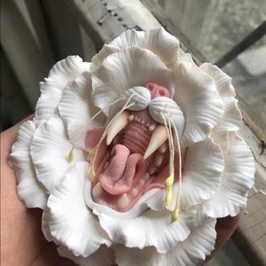 Meet your Posher, Bryce